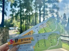 -玉苍山国家森林公园