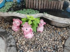 -Jomtien Talay Pao Pattaya