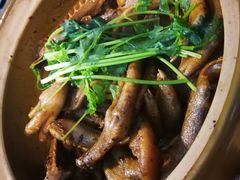 酸笋掌翼煲-食爺炭炉鸡煲·烧烤