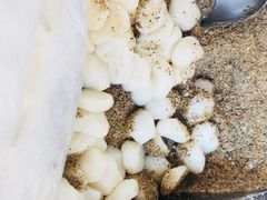 -叶氏麻糍(鼓浪屿店)