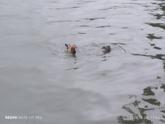 -西湖游船