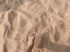 -碧海金沙