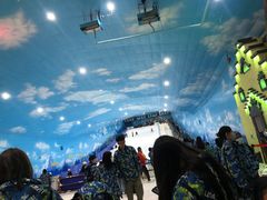 -世界之窗阿尔卑斯冰雪世界