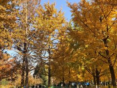 -中华世纪坛-停车场