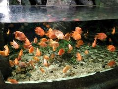 -福州罗源湾海洋世界旅游区