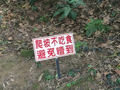 -日月潭
