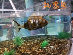 -南京科技馆