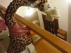 -长颈鹿咖啡(大学路店)