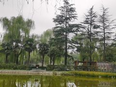 -西安市长乐公园