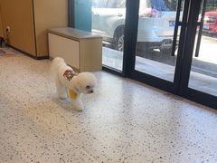 -瑞派康怡24h宠物医院·犬猫医疗中心·微创绝育(瑞景分院)