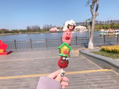 -上海长兴岛郊野公园