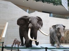 -重庆自然博物馆(新馆)