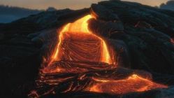 -麦粒鸟亲子游