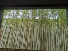 -笃笃笃糖粥(十全街店)