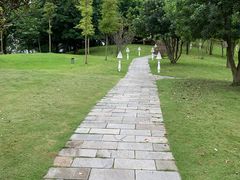 -成都保利公园皇冠假日酒店(熊猫基地店)