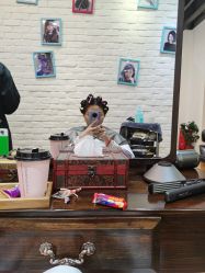 -Show fa salon 秀发沙龙