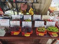 -马陆小张葡萄园农家乐