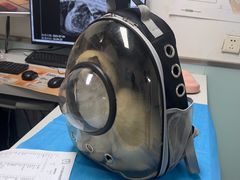 -达爱动物医院·犬猫分区·CT·复杂眼科(远洋山水分院)