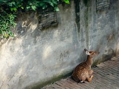 -台州府城(江南长城)