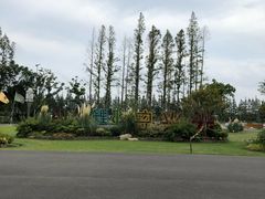 -上海长兴岛郊野公园