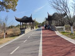 -八大山人梅湖景区