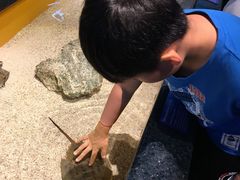 -瑞普利水族馆
