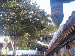 -兴教寺