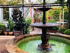 -The Grounds of Alexandria