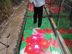 -九龙江国家森林公园