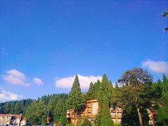 -武陵山森林公园