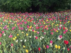 -长春公园(普阳街道)