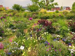 -横滨红砖仓库1号馆