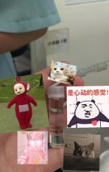 -奈瑞儿美养院·身体调养·美颜