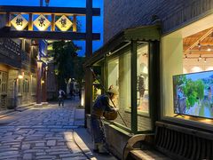 -疯克大象美式烤肉餐厅