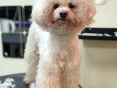 -小尾巴宠物店(万科·金域华庭店)