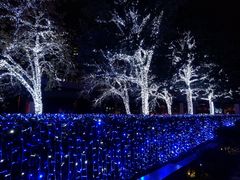 -陆家嘴空中步行连廊