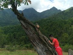 -硗碛藏寨·神木垒景区