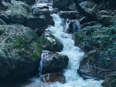 -驼梁风景区