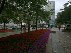 -荔枝公园-小平画像广场