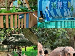 -深圳野生动物园