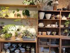 -自由生长植物工作室(深港花卉中心店)