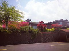 -江南天池