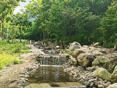 -陕西省红河谷森林公园