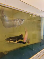 -FUMEIHUI·科技美肤·美体SPA