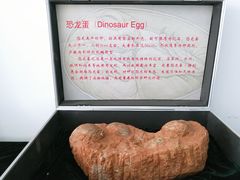-中国第四纪冰川遗迹陈列馆