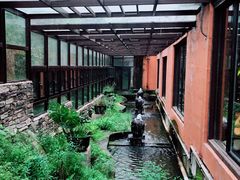 -Local泰莲庭(虹鳟鱼店)