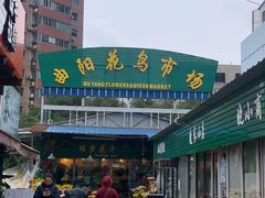 -曲阳花鸟市场(曲阳路店)