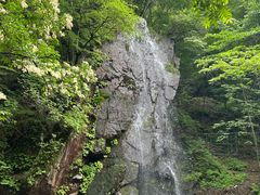 -本溪汤沟绿石谷森林公园