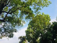 -四川大学(望江校区)