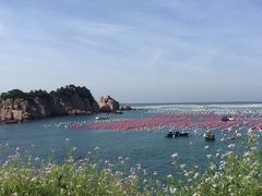 -枸杞岛